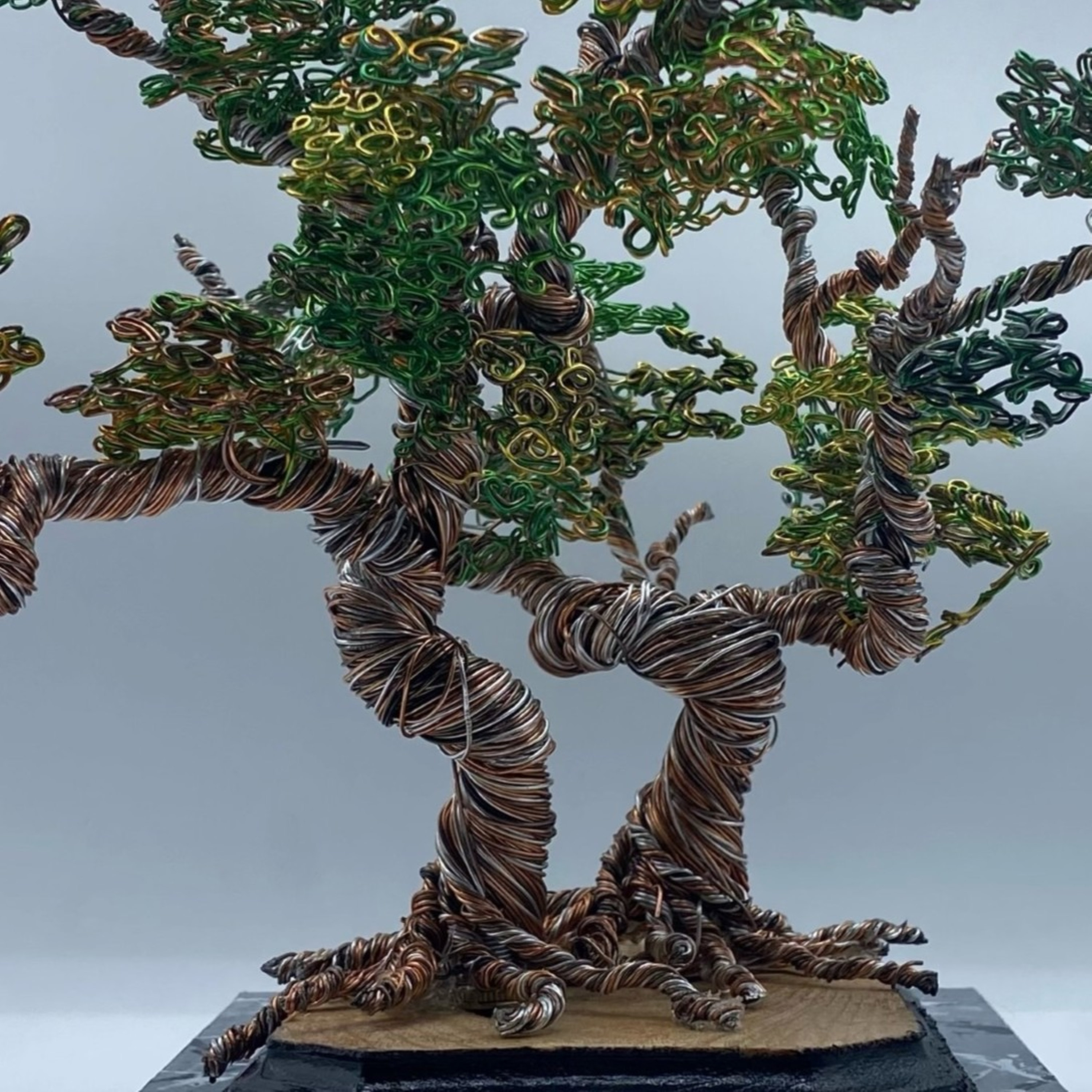 Wire Arboretum — Wire Tree Sculpture (2024)