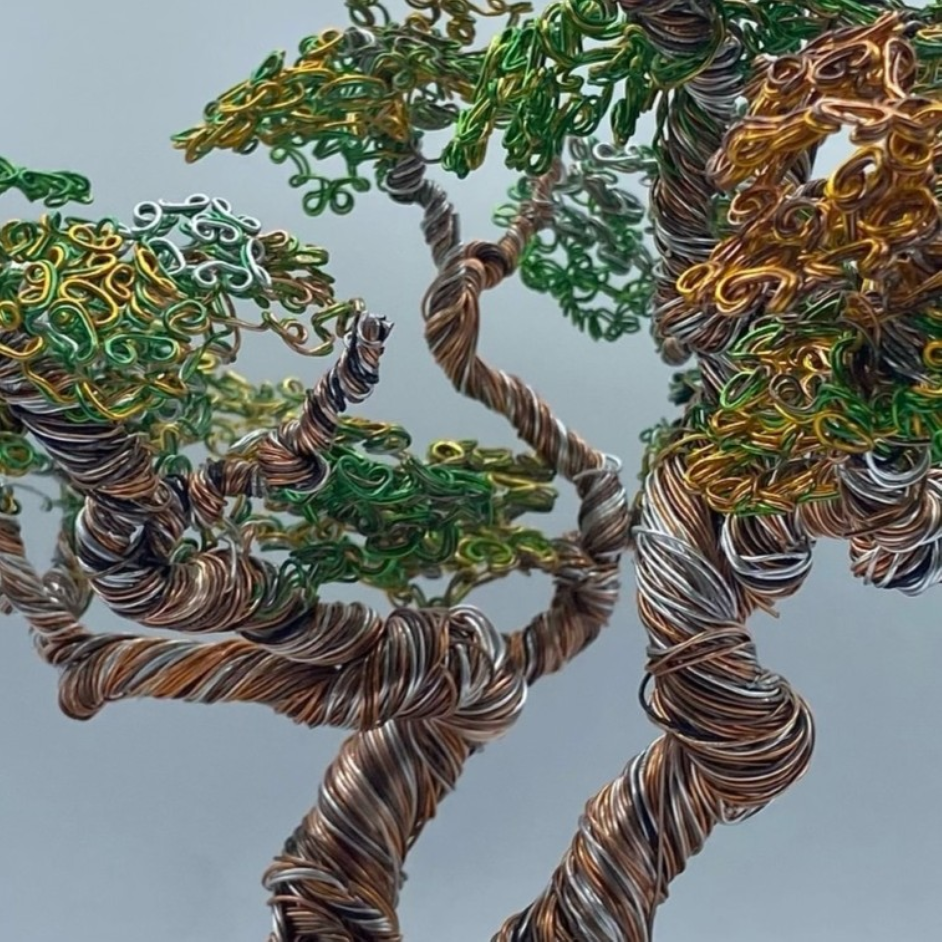 Wire Arboretum — Wire Tree Sculpture (2024)